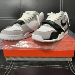 ナイキ　エアトレーナー1 クロロフィル