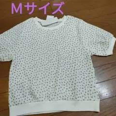 Item thumbnail for item 4f9f33e5-0796-47d9-936f-25d700d4e585