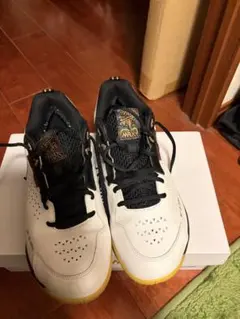 新品未使用リーニンシューズ 24cm ローカット3E 最終値下げ 2026年最新】リーニン バドミントンシューズの人気アイテム - メルカリ