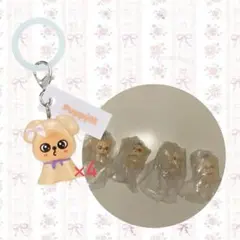 スキズskzoo めじるしアクセサリー　puppym スンミン 4個