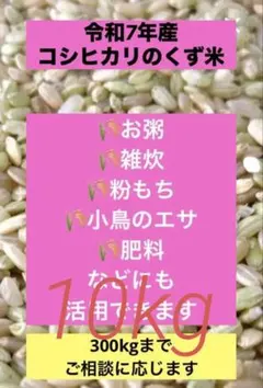 2026年最新】屑米の人気アイテム - メルカリ