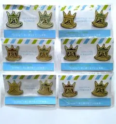 【6色セット】嵐　君と僕の見ている風景　ピンバッジセット【未開封】