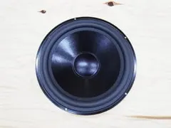 30cm パッシブラジエーター：Dayton Audio DS315-PR - メルカリ