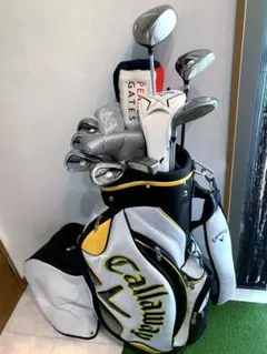 豪華 良品 ミズノ MIZUNO レディースゴルフクラブ フルセット
