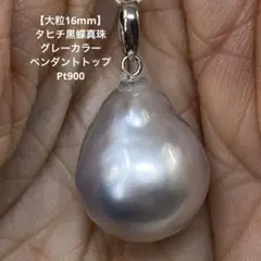9-10mm 極美品 天然タヒチ黒蝶パール 真円 孔雀グリーン 強テリ 9-10mm 極美品 天然タヒチ黒蝶パール 真円 孔雀グリーン 強テリ - メルカリ