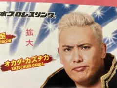オカダ カズチカ 真壁刀義　新日本プロレス チャリティーイベントチラシ
