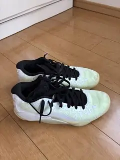 ザイオン3