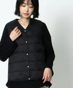 TAION タイオン　ダウンベスト　新品　即購入可能