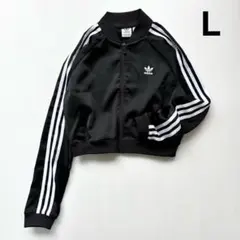 Item thumbnail for item 3dd2a201-e243-4321-a948-e83ba984e7bd