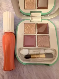 ポール＆ジョー アイデザインパレット01 グロッシールージュ05 セット