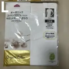 Item thumbnail for item 5e9eee71-ba2b-45d6-a864-31f5012b9ea7