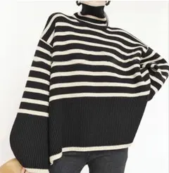 ストライプ タートルネック ニット