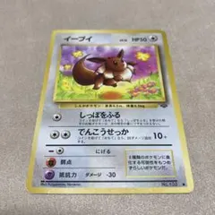 旧裏】イーブイ 第2弾拡張パック ポケモンジャングル - メルカリ