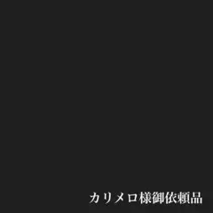 kikko アーネストハーツ pot 新旧シダレ セット - メルカリ