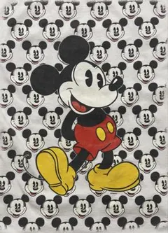 Faliero Sarti 65周年限定品 ディズニーコラボ 大判ストール - メルカリ