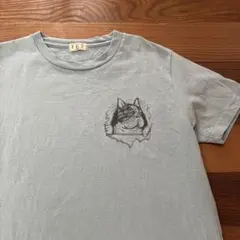 エンドレスサマー　ＴＥＳ　フレブル Ｔシャツ　Ｓ　ブルーのサムネイル