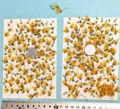 Item thumbnail for item 5f15a913-18a8-4c70-a792-180dd0e17151