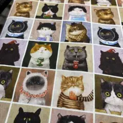 とんちゃん様 リクエスト 3点 まとめ商品