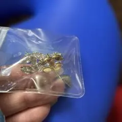 新品未使用 CCロゴピアス ゴールド ストーン