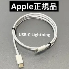 Apple 純正Lightning 充電ケーブル USB-C 1m A2561