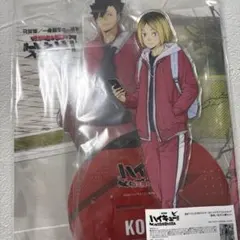 ハイキュー！ゴミ捨て場の決戦DVD特典アクリルスタンド布ポスター