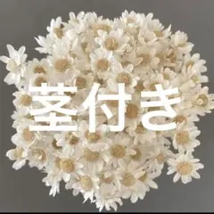 ミルミル様 リクエスト 2点 まとめ商品