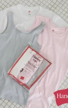 ヘインズ