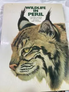 Item thumbnail for item 2fe459a1-e1a0-498e-9fa4-648def7677c9