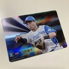 ドリームオーダー SP 内野警戒 水野達稀