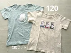 120 miffy 半袖Tシャツ 2枚セット