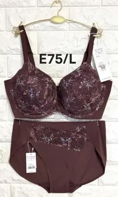 トリンプ　秘めわざ638コンフォートワイヤー搭載　上下セット　ブラウンE75/Lのサムネイル