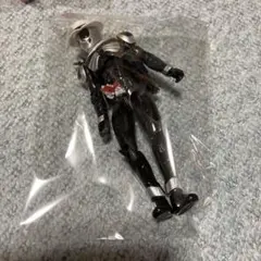 仮面ライダー スカル　RKF
