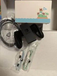 Switchあつまれどうぶつの森 付属品