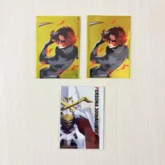 ペルソナ3 シーパラダイス クリアカード 主人公 - メルカリ