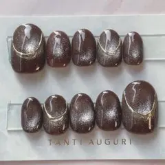 ジェルネイルチップ マグネット