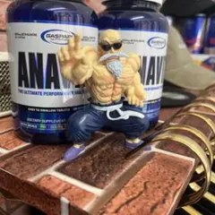 亀仙人 フィギュア 約10cm