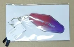 呪術廻戦 アクキー 脹相 虎杖悠仁 アクリルキーホルダーJUMP