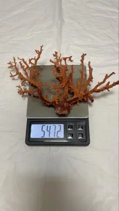 2025年最新】赤珊瑚 置物の人気アイテム - メルカリ