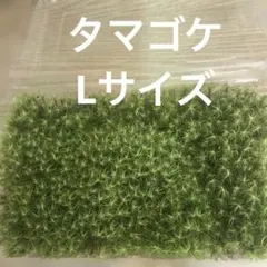 パンケーキ様 リクエスト 2点 まとめ商品