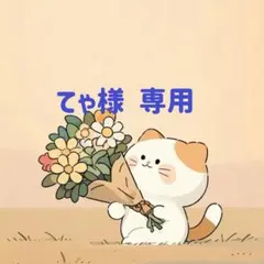 てゃ様　専用(9/4迄)