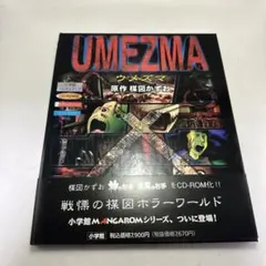 IMMOVABLE 不動明王 タトゥーデザイン - メルカリ