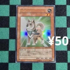 遊戯王 柴戦士タロ