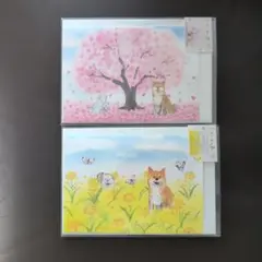 プリン　パウパト多数出品中☆様 リクエスト 2点 まとめ商品