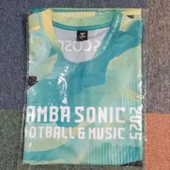 Item thumbnail for item d3e43de0-4a3d-419d-9d71-889b8d0fc544