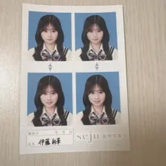 伊藤彩華seju 証明写真