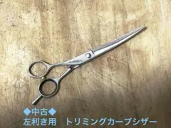 Item thumbnail for item 5199d744-87ed-4026-bc41-abed386382c9