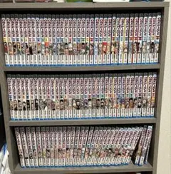 m85630418847_1.jpg?1770903854