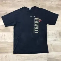 古着 00年代 Crazy Shirts クレイジーシャツ ハワイ Lのサムネイル