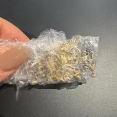 ジョジョの奇妙な冒険　ジョジョワールド　一番くじ　H賞　ピンズコレクション　1部