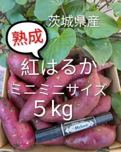 茨城県産さつま芋訳あり紅はるか　ミニミニサイズのサムネイル